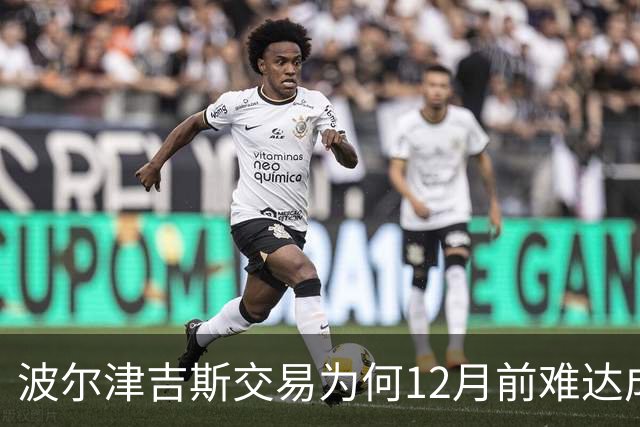 波尔津吉斯交易为何12月前难达成？美记点出两大障碍